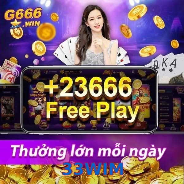 33WIM