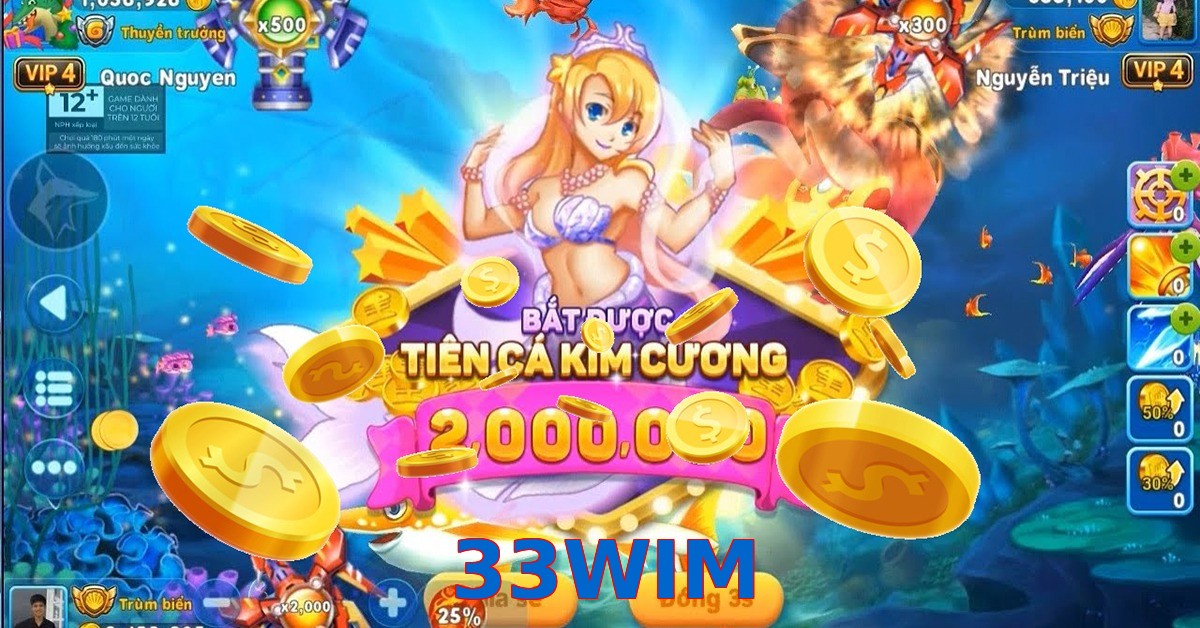 33WIM