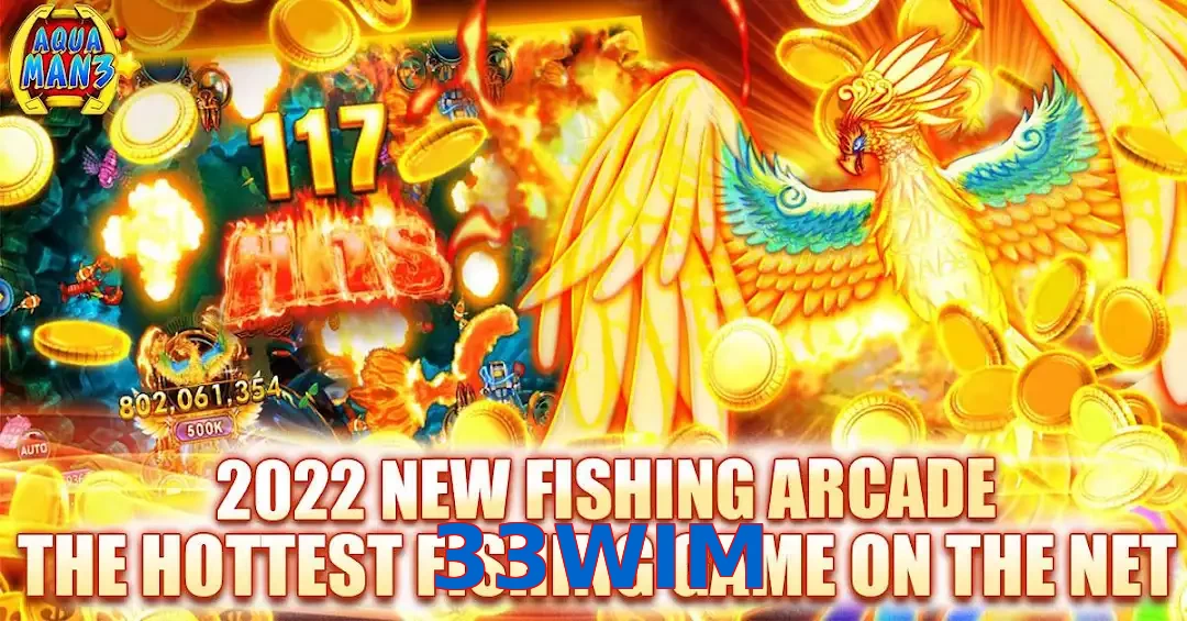 33WIM