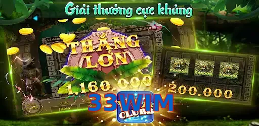 33WIM