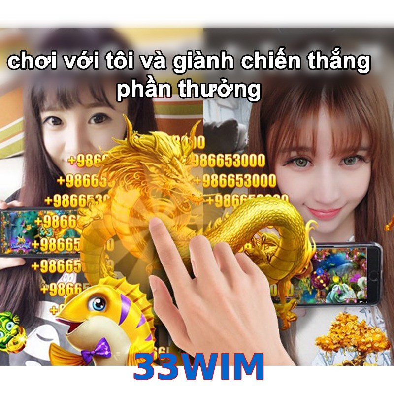 33WIM